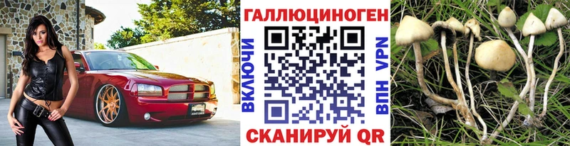 OMG   Суоярви  Псилоцибиновые грибы Cubensis  как найти наркотики 